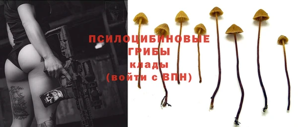 МДПВ Белокуриха