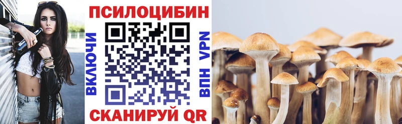 Псилоцибиновые грибы Cubensis  Маркс 